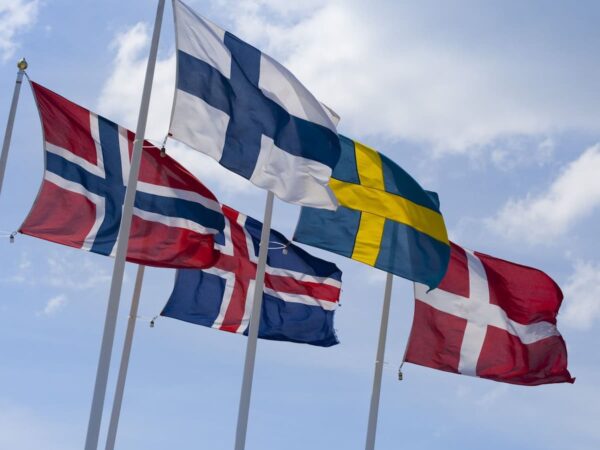 Nordic defence cooperation, Nordic joint operation